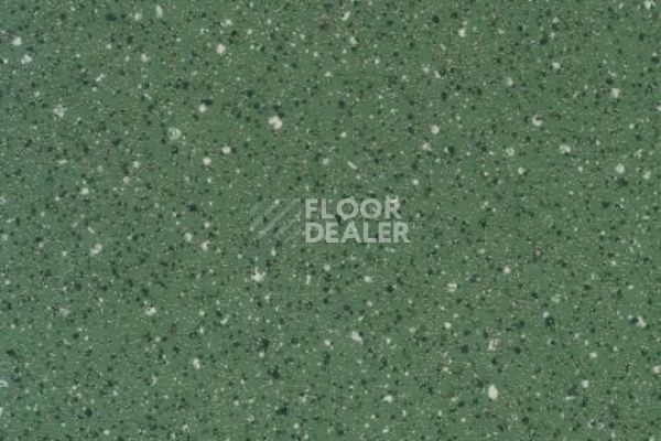 Линолеум FORBO Smaragd Classic FR 6185 фото 1 | FLOORDEALER