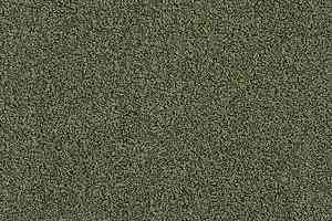 Ковровая плитка Interface Sherbet Fizz 5568 фото  | FLOORDEALER