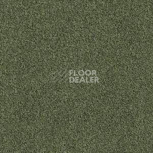 Ковровая плитка Interface Sherbet Fizz 5568 фото 1 | FLOORDEALER