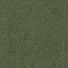 Ковровая плитка Interface Sherbet Fizz 5568 фото 1 | FLOORDEALER