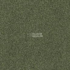 Ковровая плитка Interface Sherbet Fizz 5568 фото 1 | FLOORDEALER