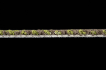 Sandunes 300505 + New Leaf фото 3 | FLOORDEALER