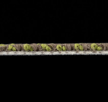 Sandunes 300505 + New Leaf фото 3 | FLOORDEALER