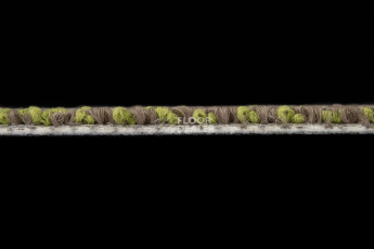 Sandunes 300505 + New Leaf фото 3 | FLOORDEALER