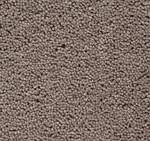 Ковролин Best Wool Pure Brunel b 40006 фото 1 | FLOORDEALER