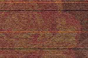 Ковровая плитка Desso Visions of Flowers 5006 фото  | FLOORDEALER