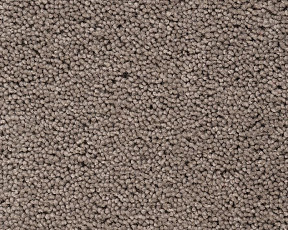 Ковролин Best Wool Pure Brunel b 40006 фото 1 | FLOORDEALER