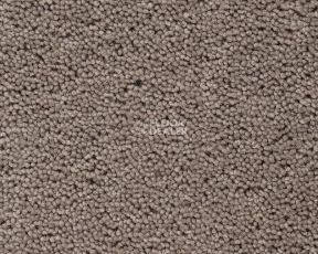 Ковролин Best Wool Pure Brunel b 40006 фото 1 | FLOORDEALER
