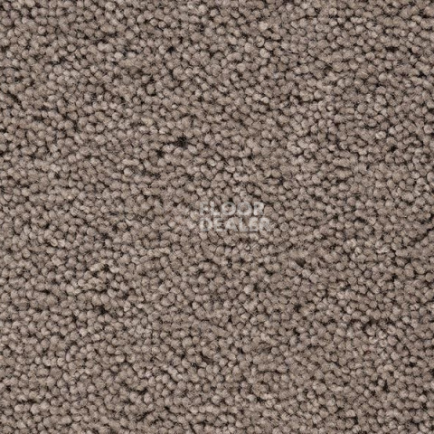 Ковролин Best Wool Pure Brunel b 40006 фото 1 | FLOORDEALER