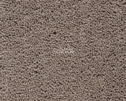 Ковролин Best Wool Pure Brunel b 40006 фото 1 | FLOORDEALER