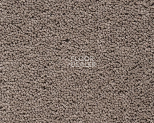 Ковролин Best Wool Pure Brunel b 40006 фото 1 | FLOORDEALER