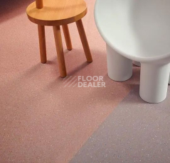Forbo Sphera Elite 50497 zircon фото 2 | FLOORDEALER