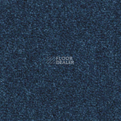 Ковролин Balsan Majestic 192 фото 1 | FLOORDEALER