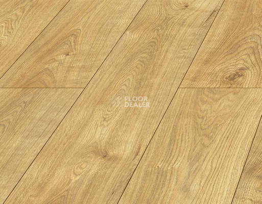 Ламинат Kronopol Platinium Testa AQUA BLOCK 8mm Kronopol Platinium Testa Aqua Block 24h Дуб Рубен D4582 фото 3 | FLOORDEALER