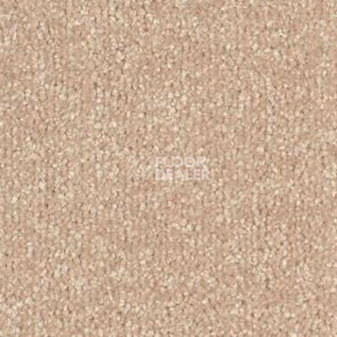 Ковролин Sintelon Spark 87254 фото 1 | FLOORDEALER
