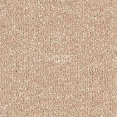 Ковролин Sintelon Spark 87254 фото 1 | FLOORDEALER