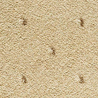 Ковролин Condor Carpets Africa 115 фото 1 | FLOORDEALER