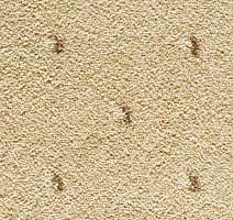 Ковролин Condor Carpets Africa 115 фото 1 | FLOORDEALER