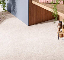 Vorwerk Superior 1072/Nutria Comfort Vorwerk 8j92 фото 2 | FLOORDEALER