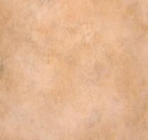 Линолеум Grabo Standart Color 4558-451 фото 1 | FLOORDEALER