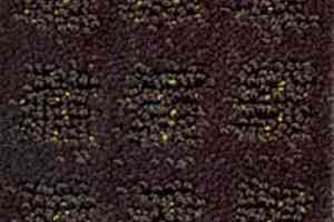 Ковролин Balta Cavalli 890 фото  | FLOORDEALER