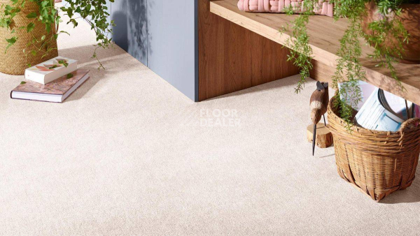 Vorwerk Superior 1072/Nutria Comfort Vorwerk 8j92 фото 2 | FLOORDEALER