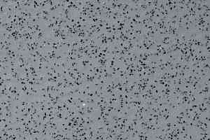 Линолеум Stop F 2.5 1260_17_218 фото  | FLOORDEALER