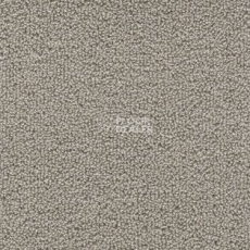 Ковролин AW Pearl 93 фото 1 | FLOORDEALER