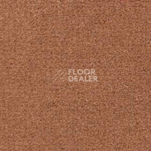 Ковролин Radici Montecarlo 42 фото 1 | FLOORDEALER