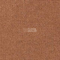 Ковролин Radici Montecarlo 42 фото 1 | FLOORDEALER