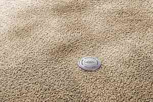 Ковролин Vorwerk Superior 1067 Mira Vorwerk 8k06 фото  | FLOORDEALER