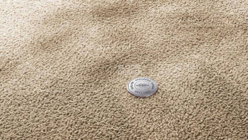 Ковролин Vorwerk Superior 1067 Mira Vorwerk 8k06 фото 1 | FLOORDEALER