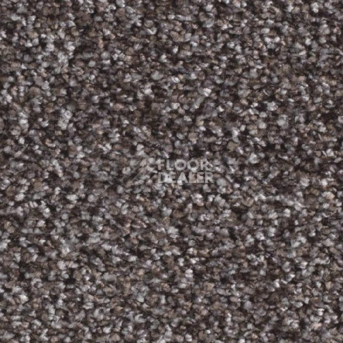 Ковролин Balsan Feelings 670 фото 1 | FLOORDEALER