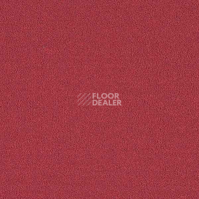 Ковровая плитка Interface Menagerie 304916 фото 1 | FLOORDEALER