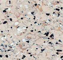 Линолеум Polyflor Finesse Ec 5330 фото 1 | FLOORDEALER