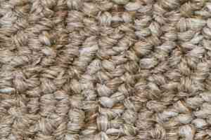 Ковролин Salisbury Beaulieu of America 099 фото  | FLOORDEALER