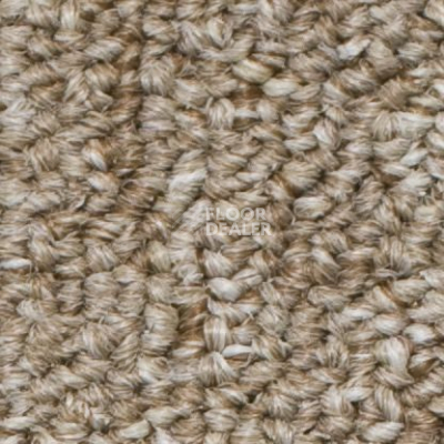 Ковролин Salisbury Beaulieu of America 099 фото 1 | FLOORDEALER