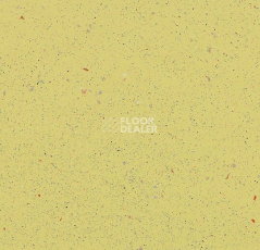 Линолеум Forbo SureStep Original 172332 daffodil фото 1 | FLOORDEALER