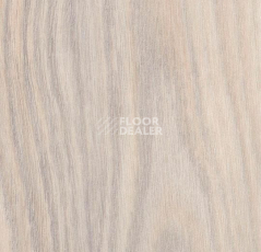 Кварцвиниловые полы Forbo Effekta Professional 0.8 мм 8021 P Планка фото 1 | FLOORDEALER