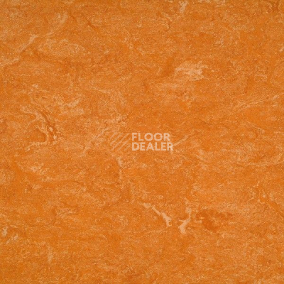 Линолеум Gerflor Marmorette DLW 2.5mm 121-073 фото 1 | FLOORDEALER