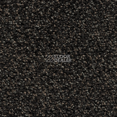 Ковролин Bonkeel Pandora. Black Accent фото 1 | FLOORDEALER