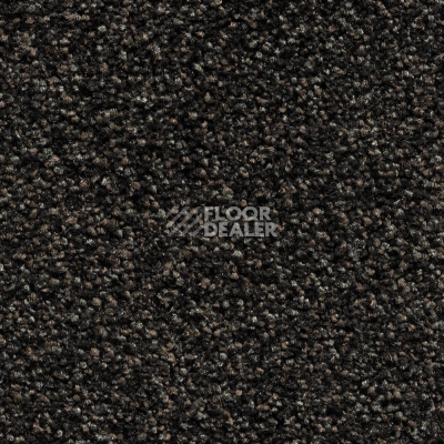 Ковролин Bonkeel Pandora. Black Accent фото 1 | FLOORDEALER