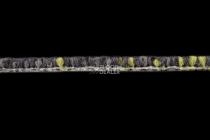 Contours 2008-13 + New Leaf фото 3 | FLOORDEALER