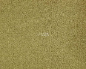 Lano Lior 380 Bronze фото 1 | FLOORDEALER