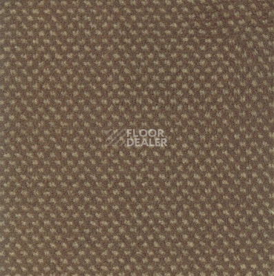 Ковролин Sintelon Podium 10413 фото 1 | FLOORDEALER