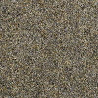 Ковролин Vebe Lindau 60 фото 1 | FLOORDEALER