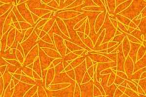 Ковролин Flotex Vision Floral 500013 (Field) Pumpkin фото  | FLOORDEALER