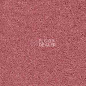 Ковролин Radici Montecarlo 8 фото 1 | FLOORDEALER