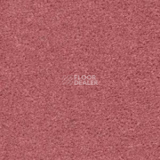 Ковролин Radici Montecarlo 8 фото 1 | FLOORDEALER