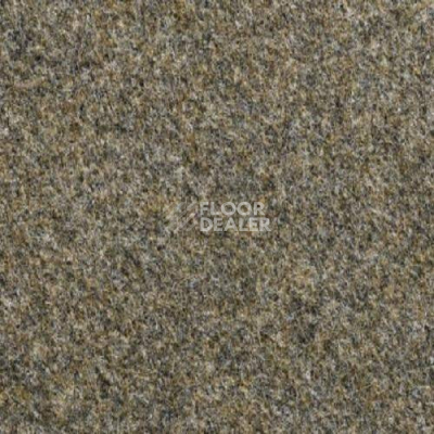 Ковролин Vebe Lindau 60 фото 1 | FLOORDEALER